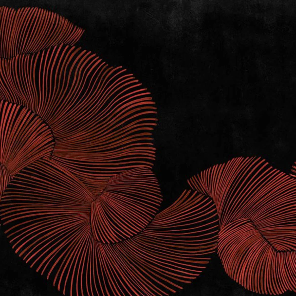 Diving Moment Mural Wallpaper - Coordonne