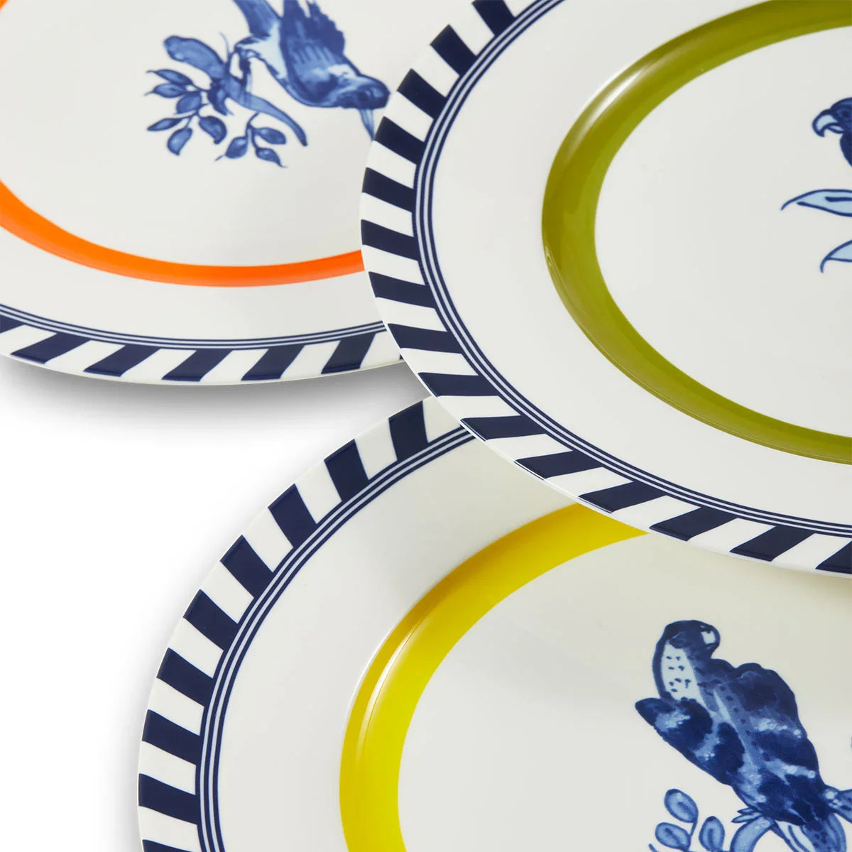 Bird Plates - Rijksmuseum X Polspotten