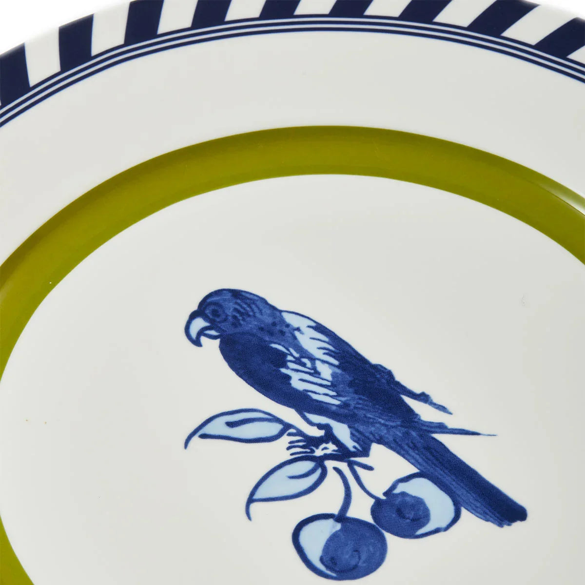 Bird Plates - Rijksmuseum X Polspotten