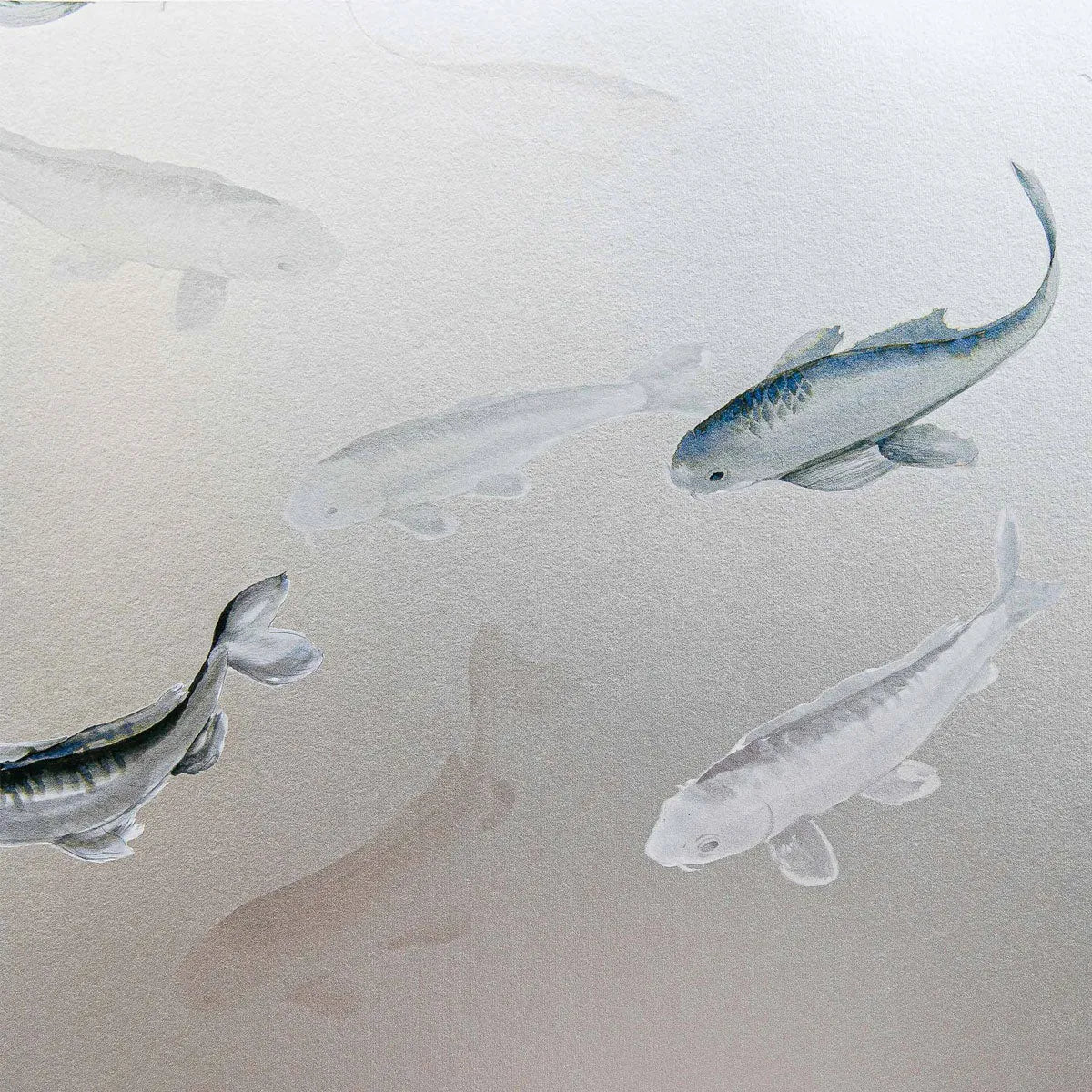 Koi Mural Wallpaper - Coordonne
