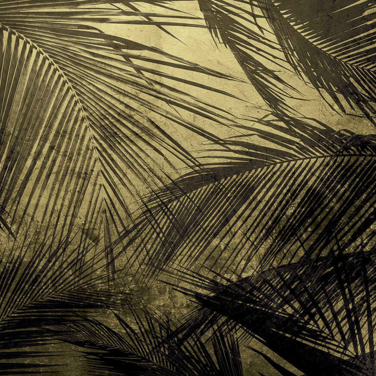 Palms Mural Wallpaper - Coordonne