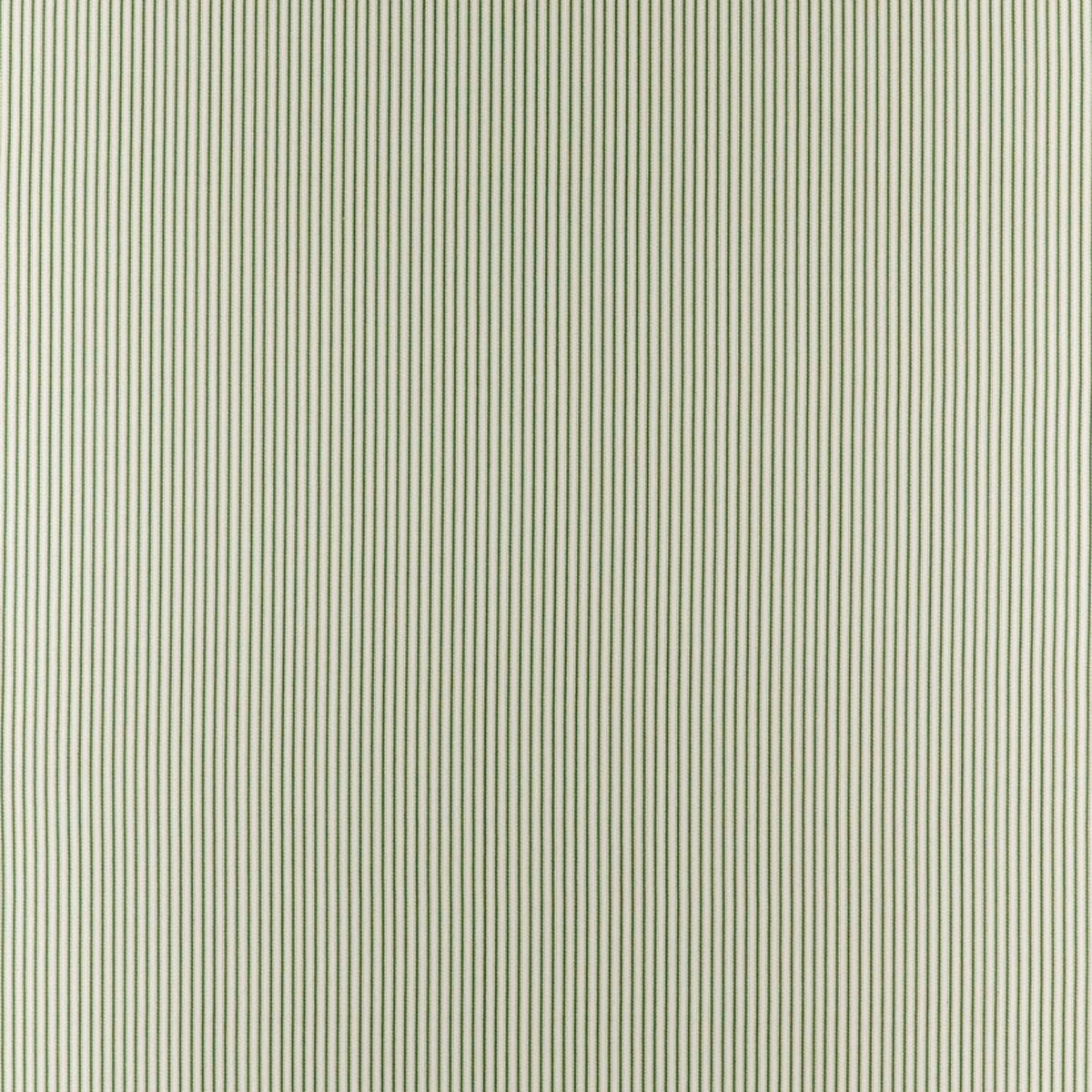 Clarke & Clarke Robinia fabric – Herb (1)