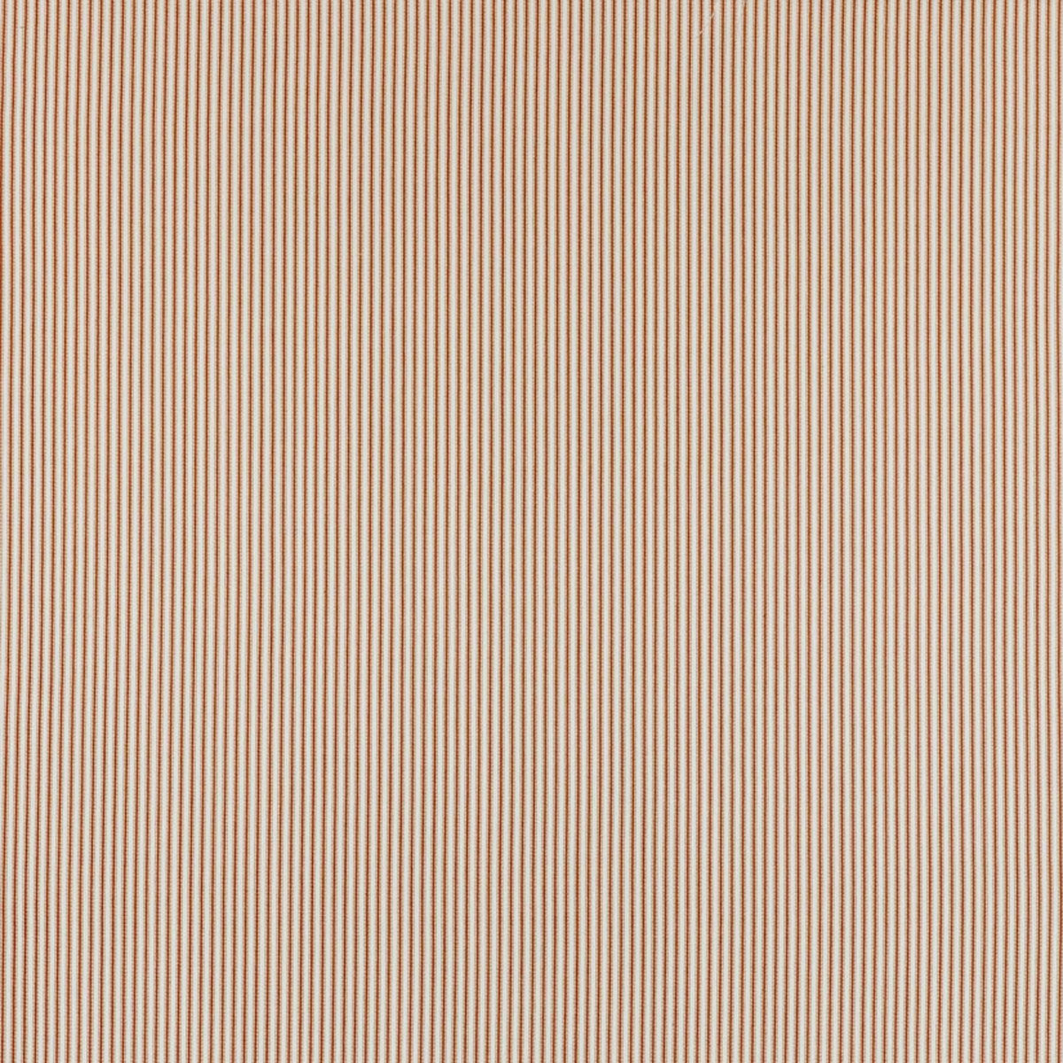 Clarke & Clarke Robinia fabric – Spice (1)