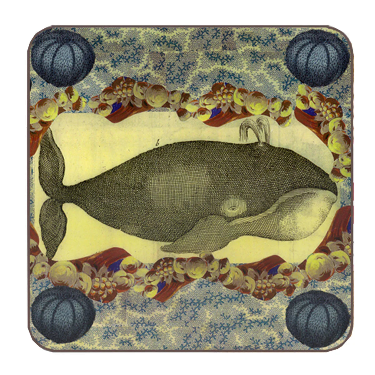 Coaster - Avenida Home