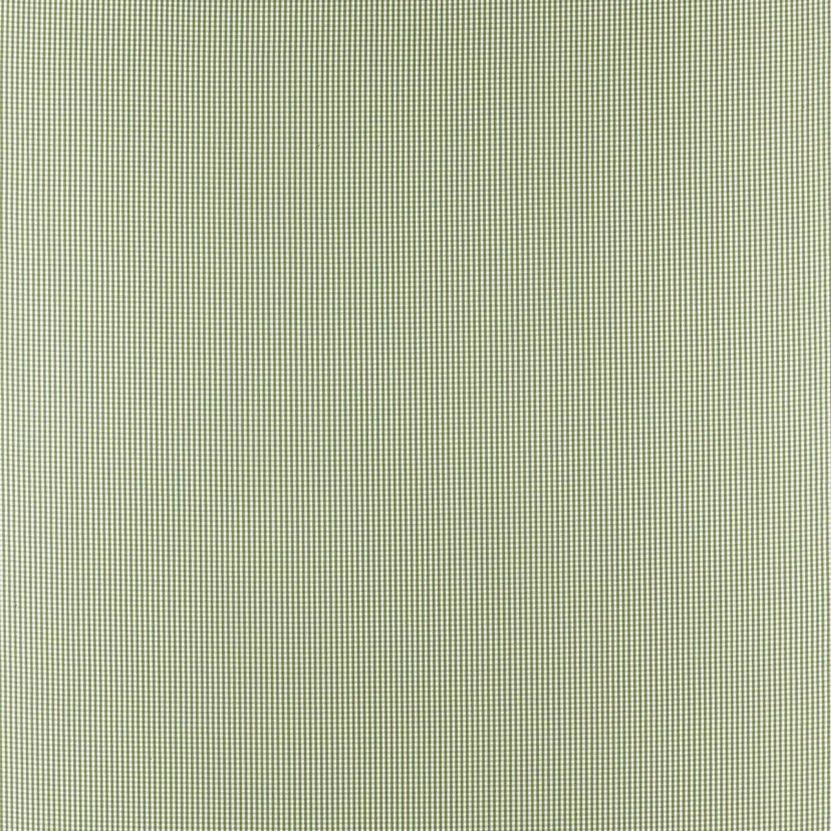 Clarke & Clarke Windsor fabric – Herb (1)