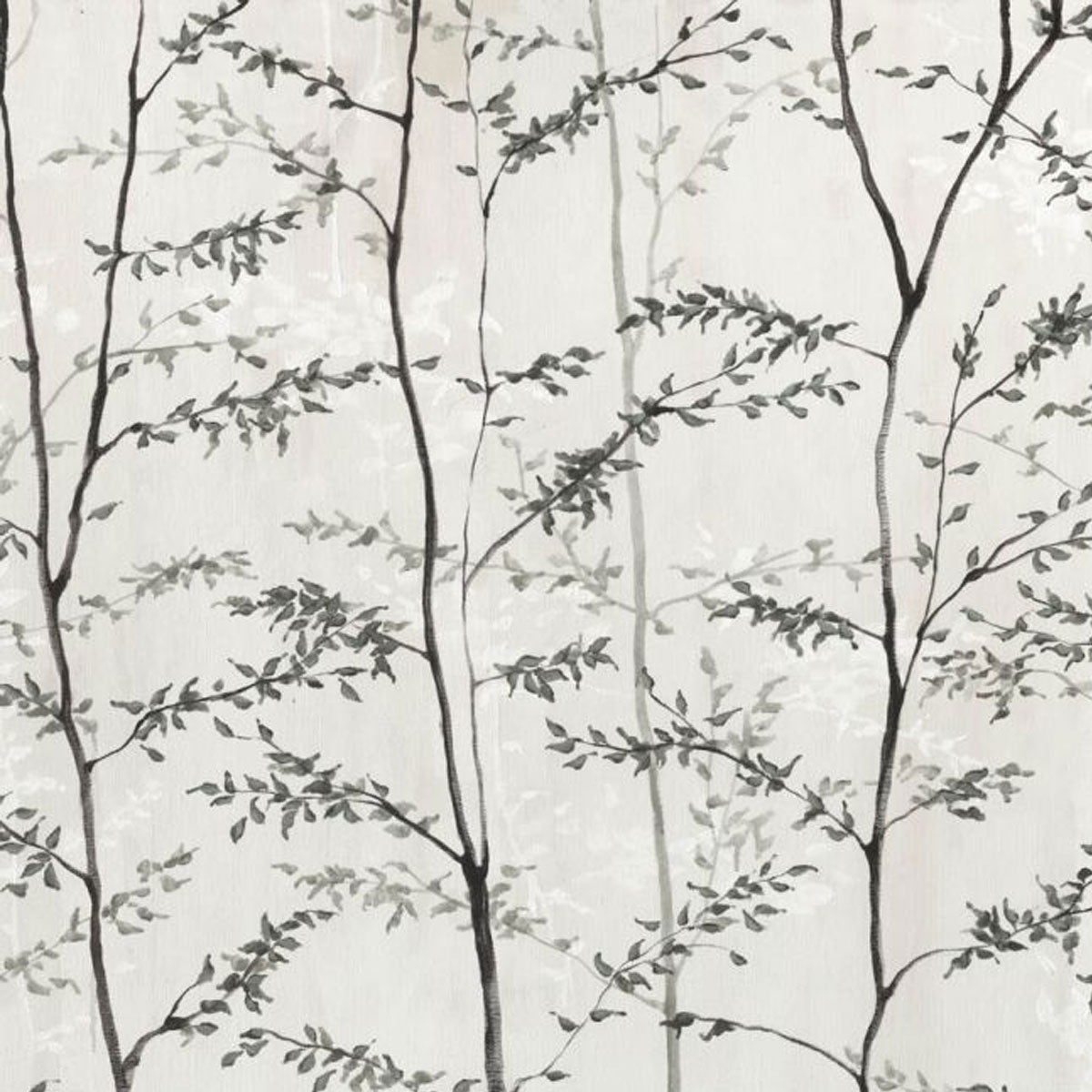 Woods Mural Wallpaper - Coordonne
