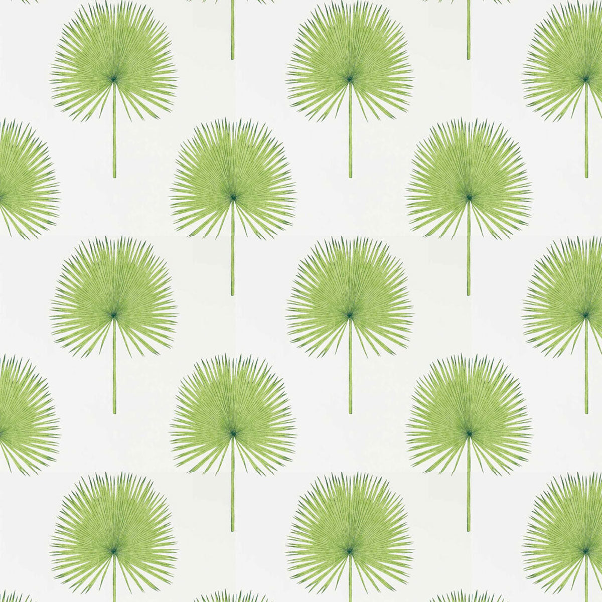 Sanderson &#39;Fan Palm - Botanical Green&#39; Wallpaper