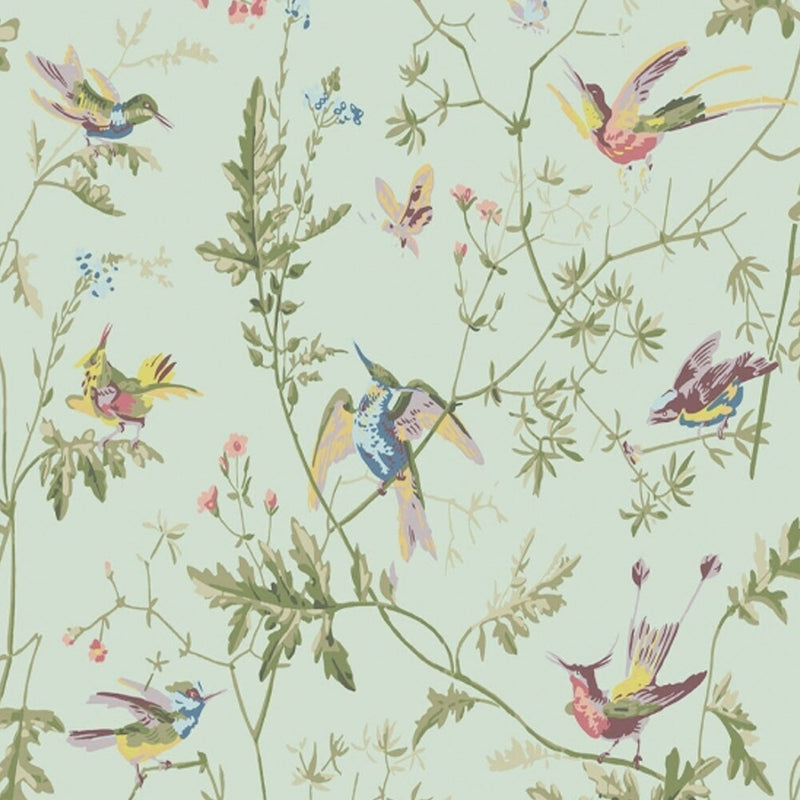 Cole & Son ' Hummingbirds - Multi, Old Olive on Duck Egg' Wallpaper ...