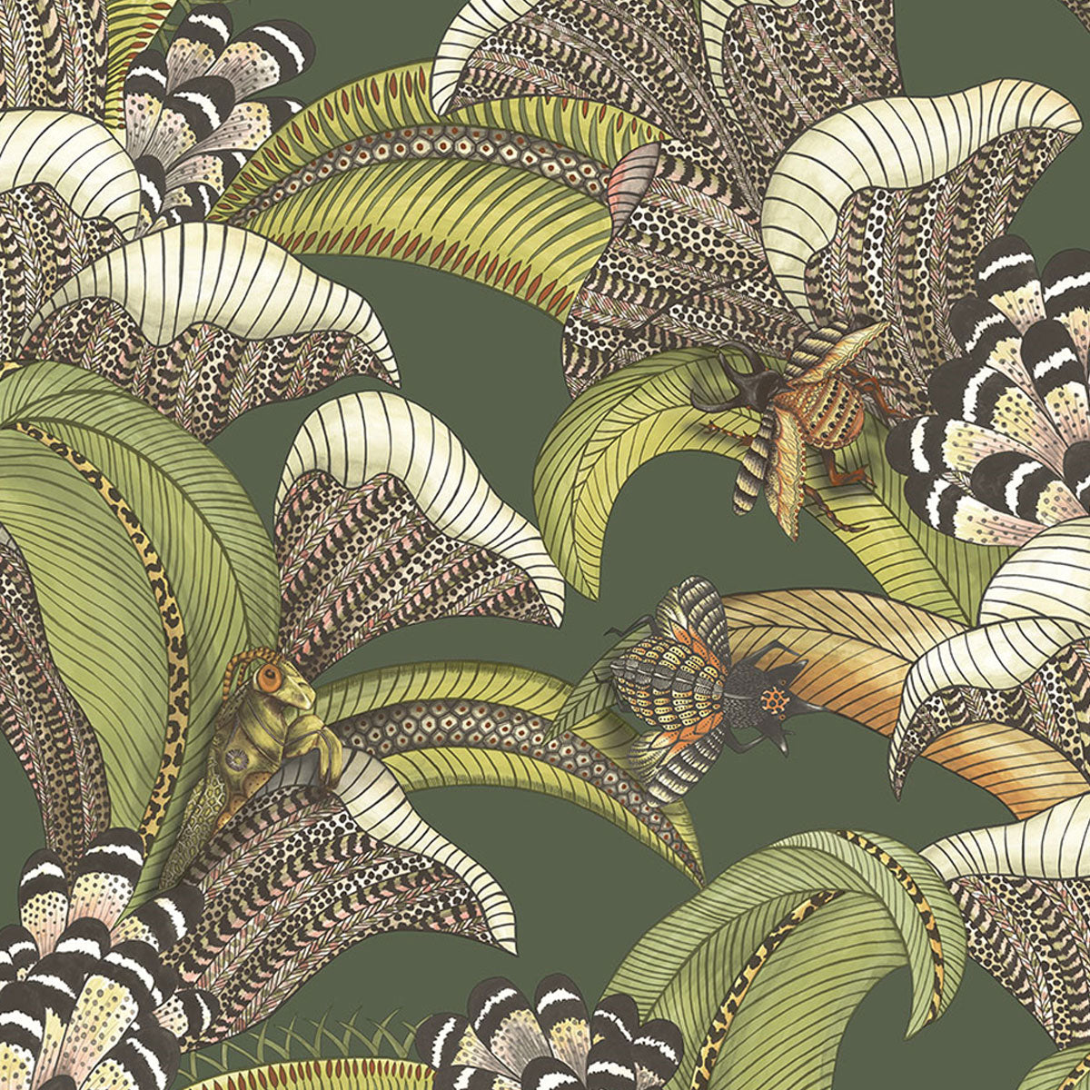 Cole &amp; Son &#39;Hoopoe Leaves Forest&#39; Wallpaper