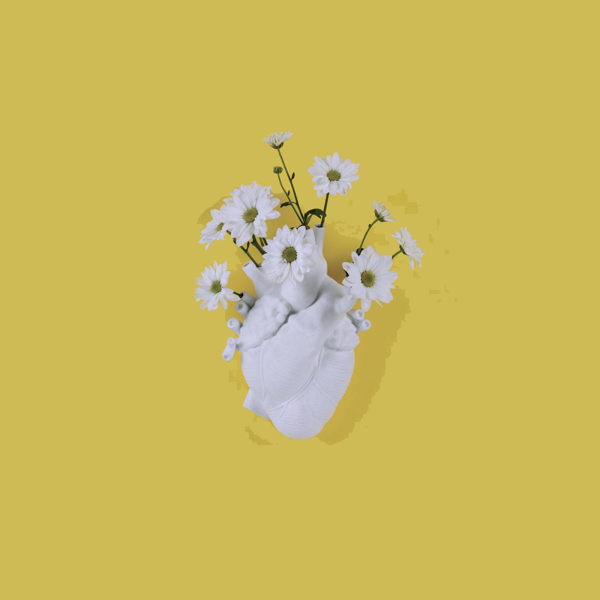Love in Bloom Heart Vase - Seletti