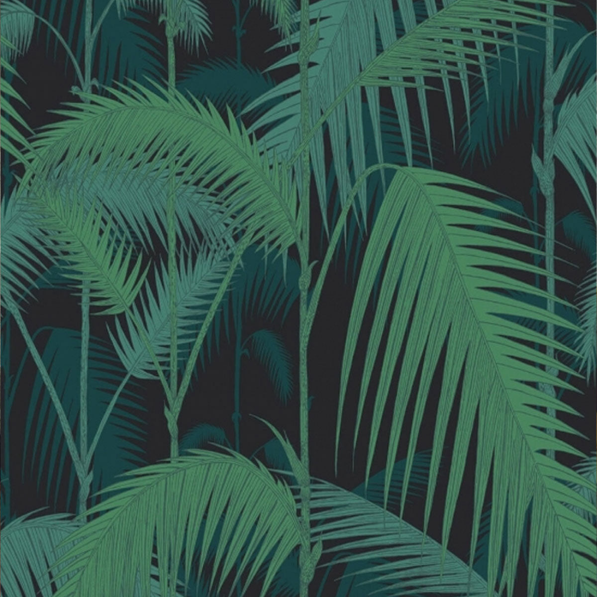 Cole and Son &#39;Palm Jungle Viridian&#39; Wallpaper