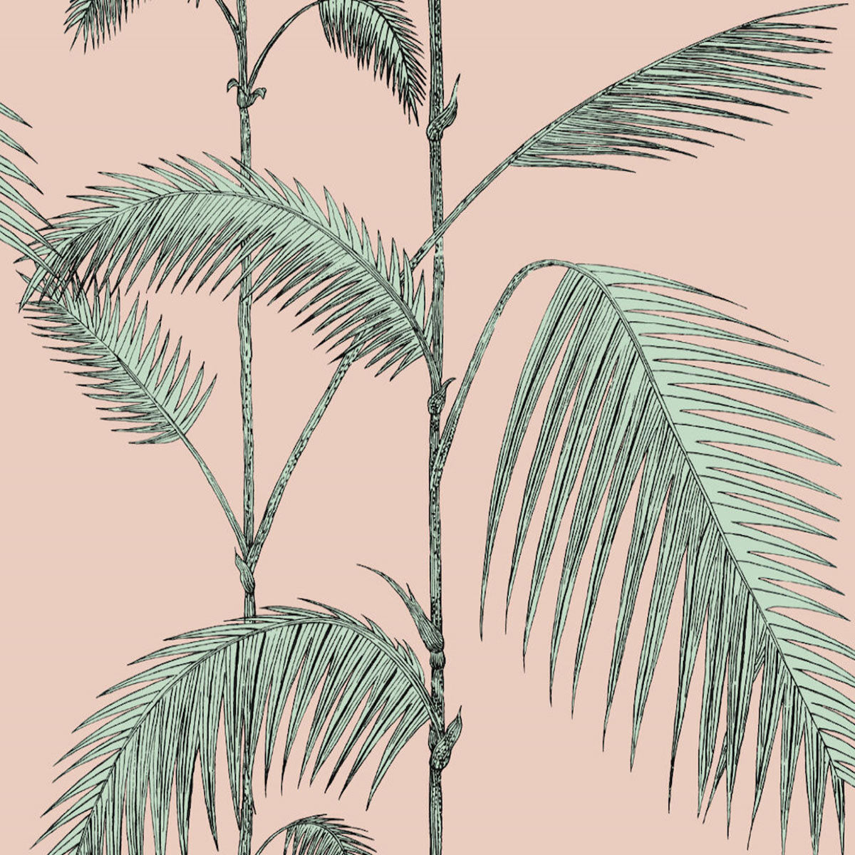 Cole &amp; Son &#39;Palm Leaves - Pink&#39; Wallpaper