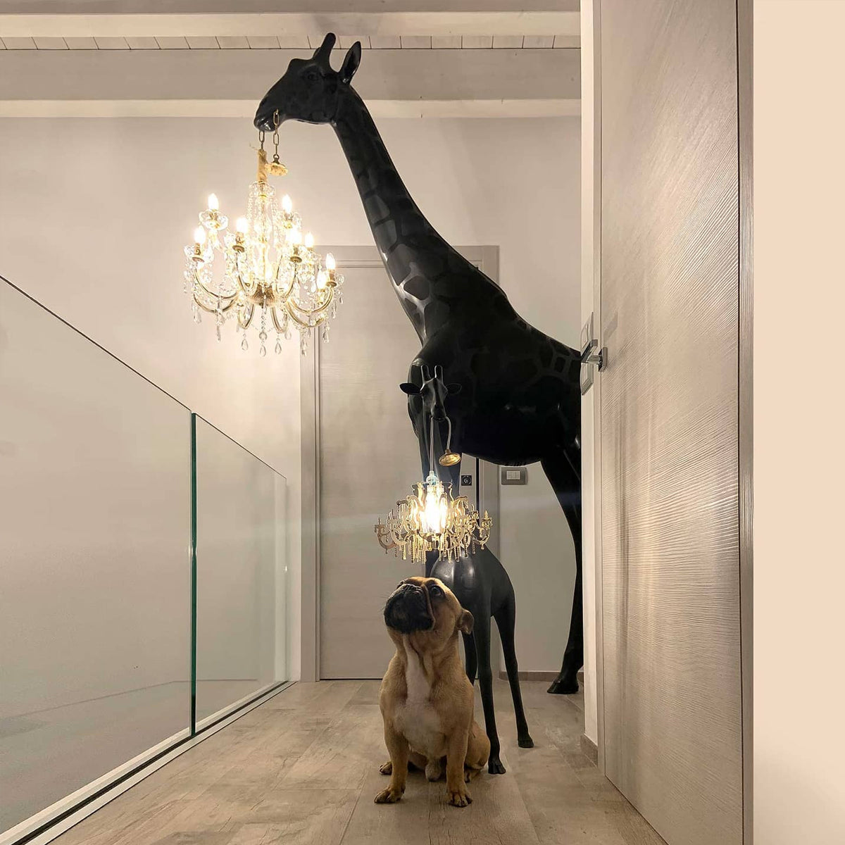 Giraffe In Love M Indoor Black - Qeeboo