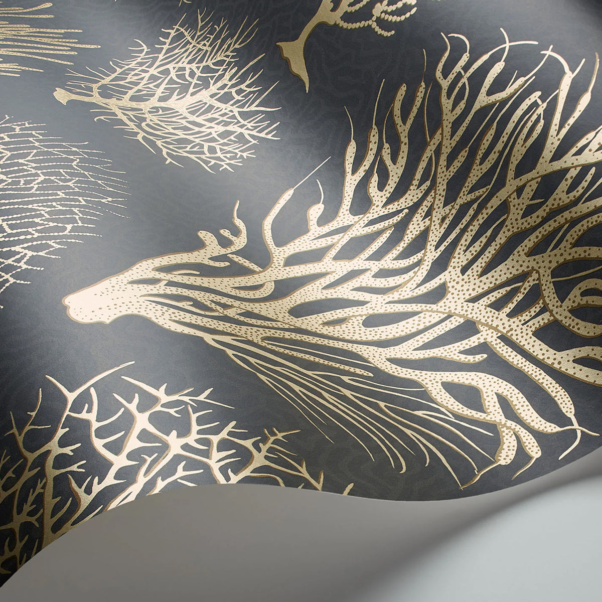 Cole &amp; Son &#39;Seafern Metallic Gold on Charcoal&#39; Wallpaper