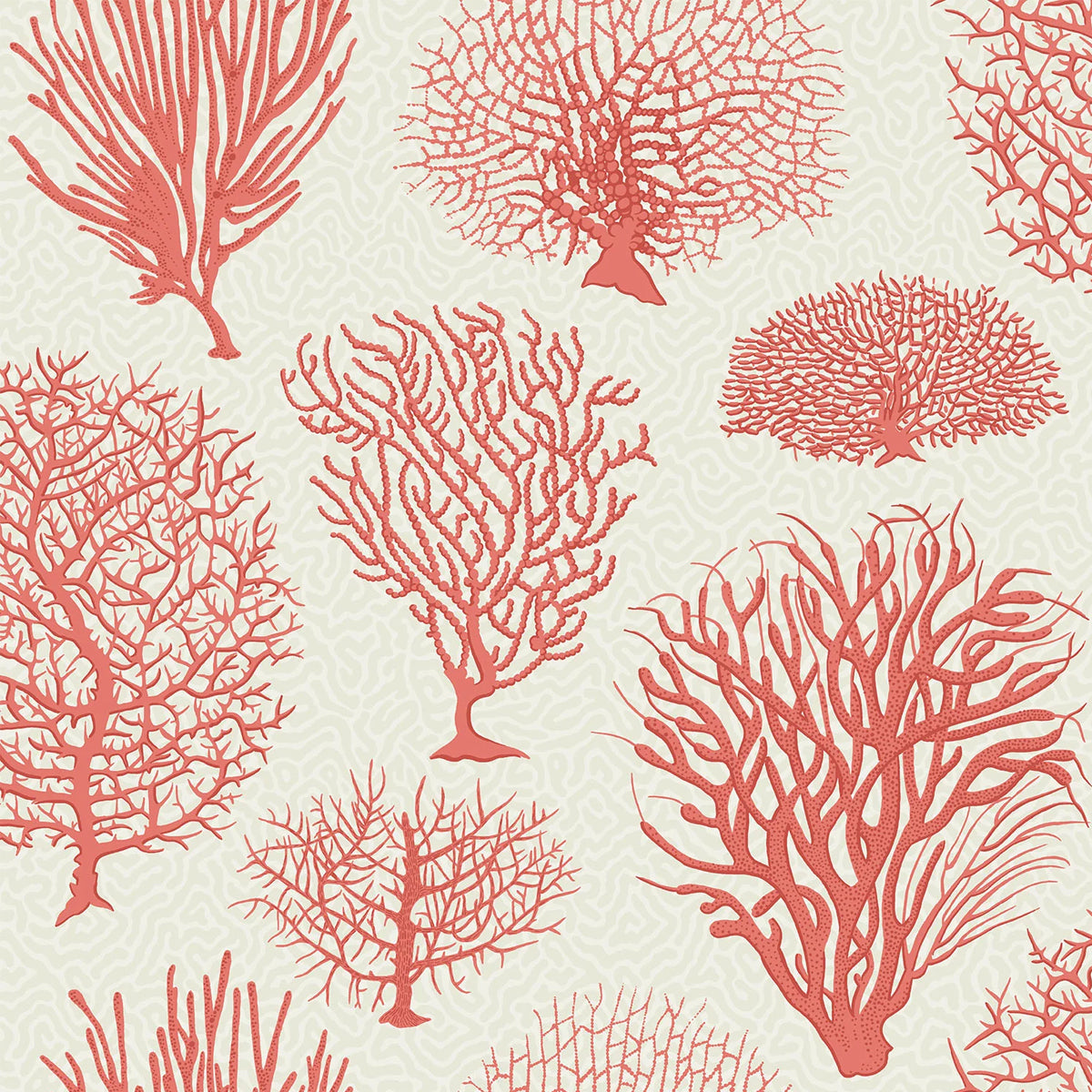 Cole &amp; Son &#39;Seafern Rouge on Parchment&#39; Wallpaper
