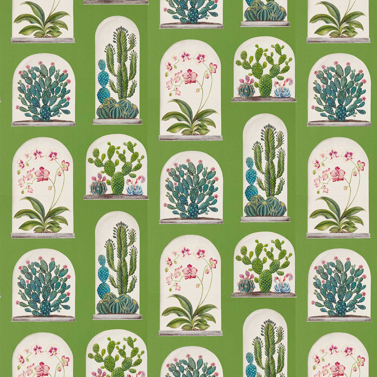 Sanderson &#39;Terrariums - Botanical Green&#39; Wallpaper