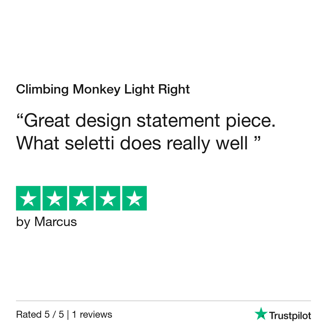 Climbing Monkey Light Right