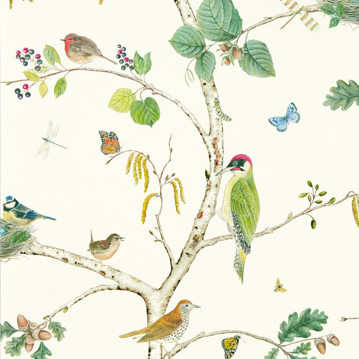 Sanderson &#39;Woodland Chorus - Botanical/Multi&#39; Wallpaper