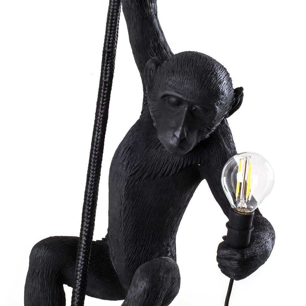 Hanging Monkey Light