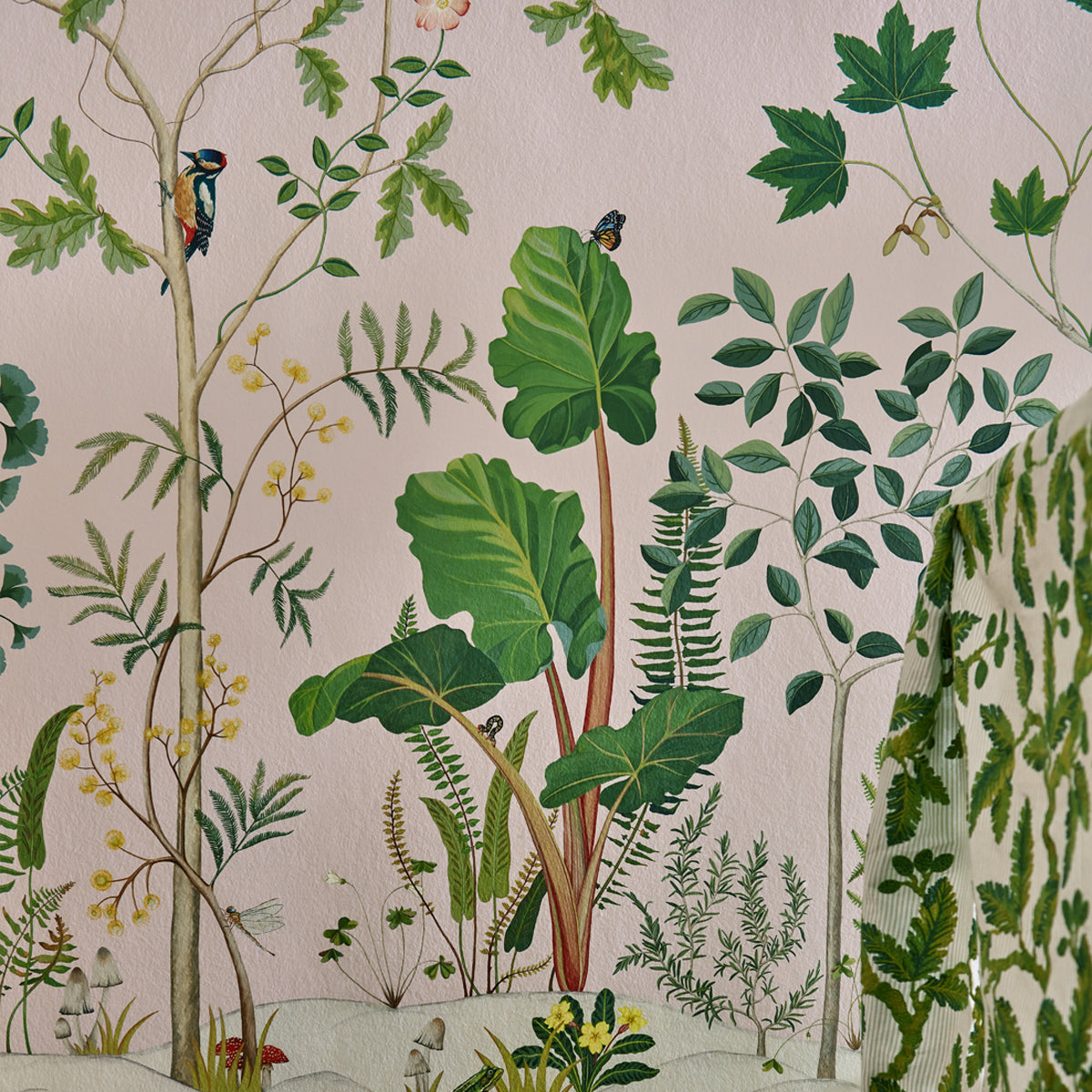 Sanderson &#39;Sycamore and Oak - Wild Rose&#39; Wallpaper